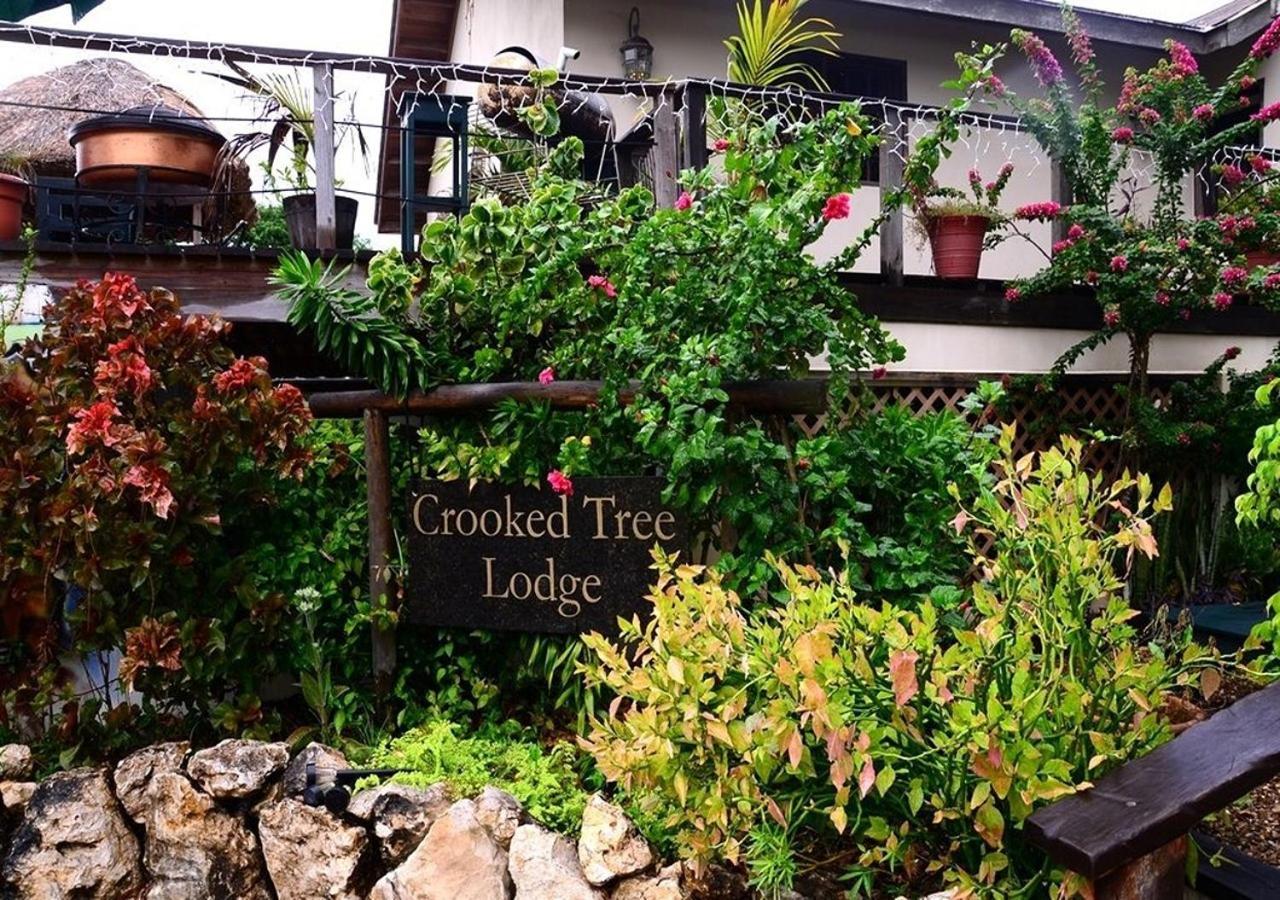 Crooкed Tree Lodge Belize Crooked Tree Buitenkant foto